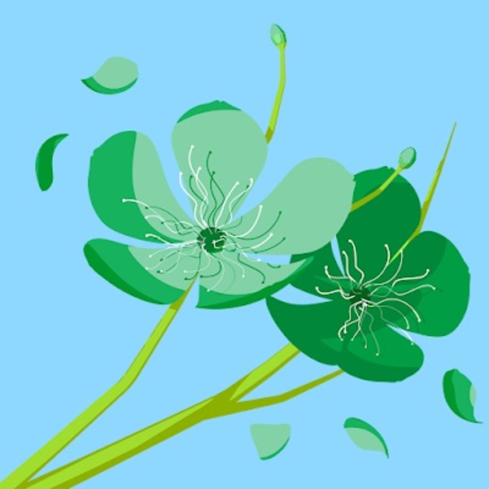 Meet your Posher, Amira